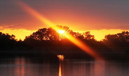 Is It This Heatwave or Is It Your Memory?